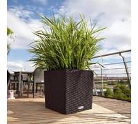 Lechuza – Pot de fleurs intérieur/extérieur Cottage Cube – Réserve d'eau intégrée – Moka 30x30x30 cm