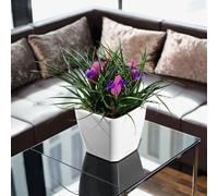 LECHUZA Jardinière QUADRO LS 21 Blanc brillant