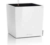 LECHUZA Pot de fleurs CUBE Premium 40 Blanc brillant | Pot de fleurs avec système d'arrosage | Surface brillante | 39 x 39 x 40 cm | 16360