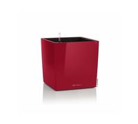 LECHUZA-Pot de fleurs CUBE Premium 40 Scarlet Rouge brillant | Pot de fleurs avec système d'arrosage | Surface brillante | 39 x 39 x 40 cm | 16367
