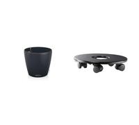 Lechuza - Pot de Fleurs d’Extérieur et d'Intérieur - Color Classico - Réserve d'eau Intégrée & Support à roulettes d’Extérieur et d'Intérieur - pour modèle Cub/Cottage/Cursivo/Classico