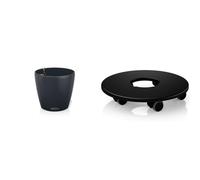 Lechuza - Pot de Fleurs d’Extérieur et d'Intérieur - Color Classico - Réserve d'eau Intégrée & Support à roulettes d’Extérieur et d'Intérieur - pour modèle Classico/Canto/Puro/Cube
