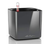 Lechuza - Pot de Fleurs d'Interieur - Cube Glossy - Réserve d'Eau Intégrée - Coloris Anthracite - 14 x 14 x 14 cm