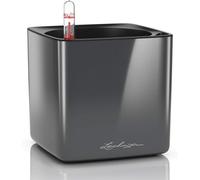 Lechuza - Pot de Fleurs d'Interieur - Cube Glossy - Réserve d'eau Intégrée - Coloris Anthracite - 14 x 14 x 14 cm (Lot de 5)