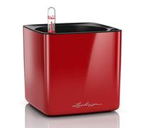 Lechuza - Pot de Fleurs d'Interieur - Cube Glossy - Réserve d'Eau Intégrée - Coloris Rouge Scarlet - 14 x 14 x 14 cm