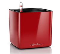 Lechuza - Pot de Fleurs d'Interieur - Cube Glossy - Réserve d'Eau Intégrée - Coloris Rouge Scarlet - 17 x 17 x 16 cm