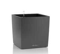 Lechuza - Pot de Fleurs d'Interieur - Premium Cube - Réserve d'Eau Intégrée - Coloris Anthracite - 30 x 30 x 30 cm