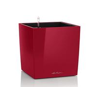Lechuza - Pot de Fleurs d'Interieur - Premium Cube - Réserve d'Eau Intégrée - Coloris Rouge Scarlet - 50 x 50 x 50 cm