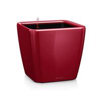 Lechuza - Pot de Fleurs d'Interieur - Premium Quadro Ls - Réserve d'Eau Intégrée - Coloris Rouge Scarlet - 21 x 21 x 20 cm