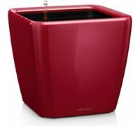 LECHUZA Pot de fleurs QUADRO Premium LS 50 Rouge Scarlet brillant | Pot de fleurs avec système d'arrosage| Surface brillante | 50 x 50 x 46,5 cm | 16287