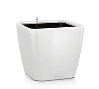 Lechuza Quadro Premium 21 LS Pot de Fleurs, Blanc High-Gloss, 35 x 35 x 33 cm