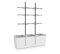 LECHUZA-TRIO Cottage 30 TRIO Cottage 30 Treillis Noir | 15011