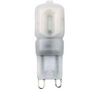 Ampoule LED unicolore - LIGHTME - mat - G9 - 2.5 W - 3000K (Blanc chaud)