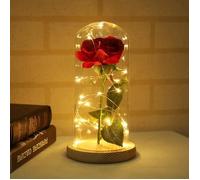 LED Night Light Simulation Feel Rose Fleur Couvercle En Verre Lampe Décorative Lampe Cadeau