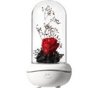 Led Usb Romantique Fleur Éternelle Aroma Lamp Ambiance Colorée Rose Lampe de Mariage JJZM1062 Rose G
