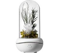 Led Usb Romantique Fleur Éternelle Aroma Lamp Ambiance Colorée Rose Lampe de Mariage JJZM1063 Rose G