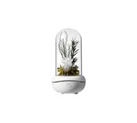Led usb romantique lampe d'arôme de fleur éternelle d'ambiance colorée rose mariage - blanc G