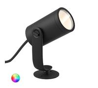 Ledkia Calla Small