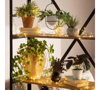Ledkia Guirlande Extérieure LED Piner 6m 3000K Blanc chaud