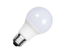 Ledkia Ampoule LED E27 A60 5W blanc froid