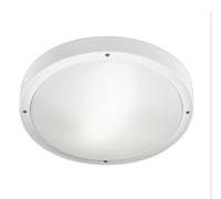 LEDS C4, plafonnier de base - 24 W, lumière blanc chaud, 2606 lm, indice de protection IP66, couleur grise