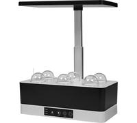 LEDVANCE Lampe LED pour plantes noire à intensité variable de 1670 lumens, lampe de croissance à 6 compartiments pour le jardin d'intérieur, lumière pour herbes aromatiques avec fonction de minuterie