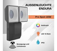 Ledvance LED lampe d'extérieur Endura Pro Spot capteur gris foncé