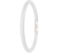 LEDVANCE LED T5 FC 22 EXTERNE P 11,6 W 830 2GX13 - Lampes LED socle 2GX13