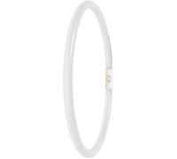 LEDVANCE LED T5 FC 40/55 EXTERNE P 21,5 W 865 2GX13 - Lampes LED socle 2GX13