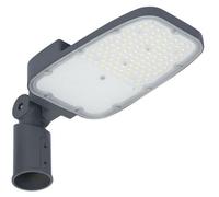 LEDVANCE – Luminaire LED pour éclairage public, modèle SL AREA SPD MD V, 65W, 765, RV20ST, couleur gris (GY), référence 4099854030499