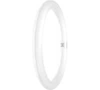 LEDVANCE TUBE LED T9 EM V 18.3W 830 G10Q - Lampes spéciales LED