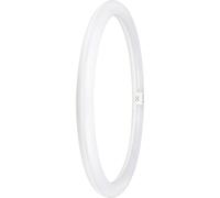 LEDVANCE TUBE LED T9 EM V 24W 840 G10Q - Lampes spéciales LED