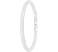 LEDVANCE Tubes LED CEE: D (A - G) forme de tube T5 11.6 W blanc neutre (Ø x L) 16.50 mm x 225.00 mm 1 pc(s)