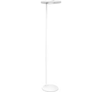 LEDVANCE Wifi SUN@HOME PLANON FLOOR Lampadaire LED 180cm 36W / 2200-5000K blanc - Lampes d’ambiance, de table et sur pied