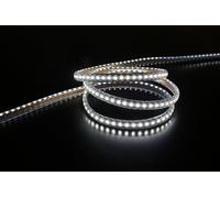 LEDZEIT - Profi Serie - Ruban LED 20m, intérieur et extérieur, blanc froid 6500K, dimmable, 230V, étanche IP65, pour installation, balcon, terrasse, façades, bâtiments, éclairage de commerce