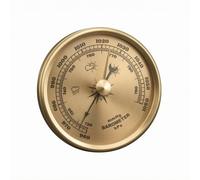 LeeQinersw Baromètre Analogique à Cadran Manomètre Hygromètre Thermomètre Boîtier Métal Lecture Pression en Mmhg et Hpa Conception Classique Aiguille Centrale, Or