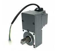 LeeQinersw Moteur de Portail Battant Automatique Dispositif d'Ouverture de Portail Moteur Électrique Actionneur Opérateur sans Balais 24V à Faible Bruit avec, Square Shaft