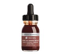 Lefranc Bourgeois Encre de Couleur Indélébile Nan-King Flacon 30 ml Terre de Sienne Brulée