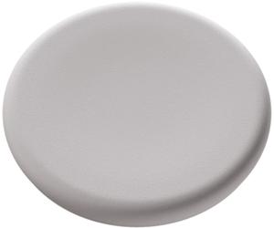 Legamaster Glasboardmagnet 7-181612 30 mm gris chaud 5 pièces