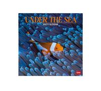 Legami - Calendrier 2027 Mural, Under The Sea, Grand Calendrier Mural, 12 Mois et Agenda Annuel, en 6 langues, Espace pour les Notes, Signes du Zodiaque, Jours Fériés Internationaux, 30 x 29 cm
