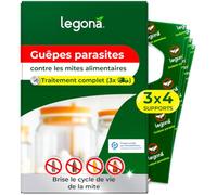 Legona Guêpes parasites contre les mites alimentaires | 4 cartes de 3 livraisons | Lutte efficace contre les mites alimentaires | Protection alternative au piège à mites alimentaires, spray anti-mites