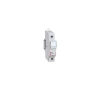 Legrand 005800 Coupe-Circuit Domestique Unipolaire pour Cartouche Cylindrique Miniature, 5mm x 20mm, 250V, Gris Clair