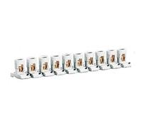 Legrand 034001 Barrette de 10 Bornes Séparables avec Capacité, par Borne 2mm X 10mm² et Pas 19.5mm, Gris