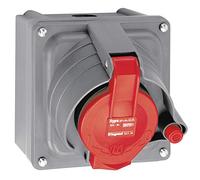 Legrand 052904 Plastique Prisinter Fixe Hypra IP44/55, 32A, 380V à 415V, 3P+N+T