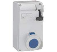 Legrand 056629 Coffret avec Interrupteur et 1 Prise, 32A, 2P+T, 200V à 250V, 50Hz à 60Hz, Multicolore