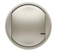 Legrand 064825 Céliane Remplacement de Enjoliveur avec Netatmo pour Interrupteur Filaire Connecté ou Commande sans Fil, Titane