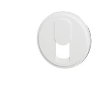 Legrand Enjoliveur Céliane 068237 pour prise téléphone, réseau mixte et basique, Blanc