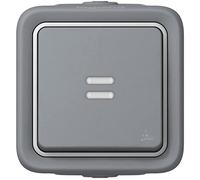 Legrand 069713 Interrupteur ou va-et-vient Lumineux Étanche, Plexo Complet Saillie, 10AX, 250V, Gris