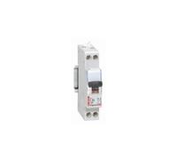 Legrand 092824 Disjoncteur Phase + Neutre avec Bornes à Vis, 1 Module, 20A