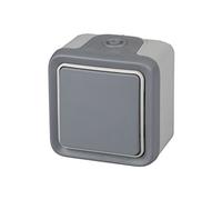 Legrand 191502 Plexo Interrupteur poussoir mural extérieur avec niveau d'imperméabilité IP55 Gris